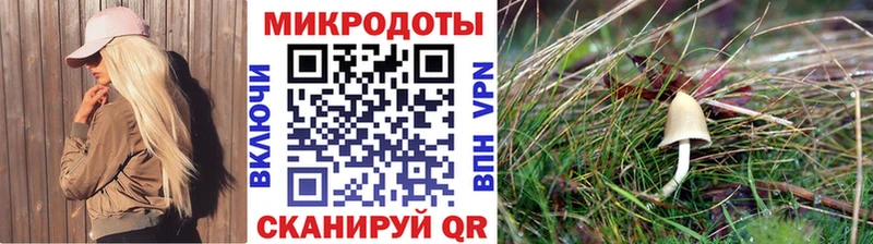 цена   Бронницы  Галлюциногенные грибы мицелий 
